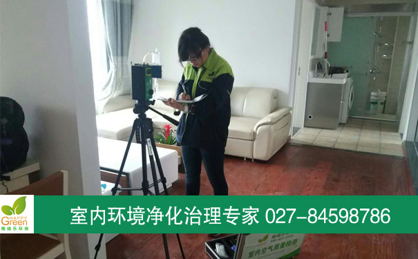 光谷麗島漫城業(yè)主新房室內(nèi)空氣檢測(cè)