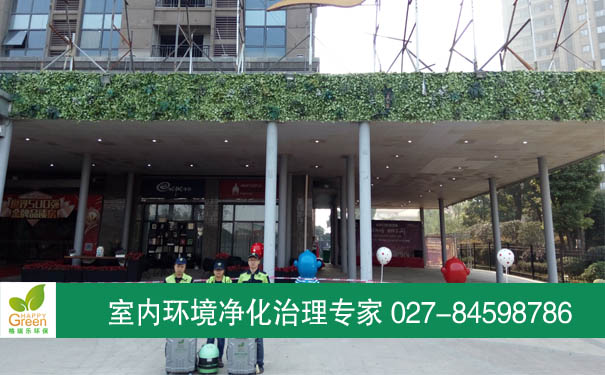 漢陽(yáng)恒大御景灣業(yè)主新房除甲醛