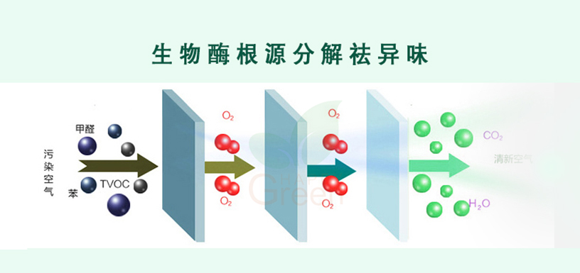生物酶根源分解祛異味