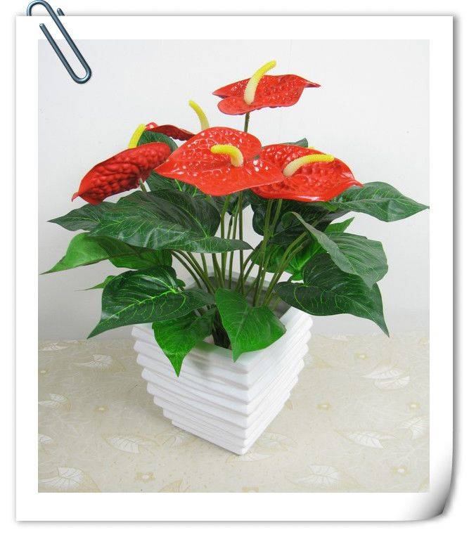 車內(nèi)空氣凈化 室內(nèi)空氣檢測(cè) 室內(nèi)空氣治理 室內(nèi)空氣凈化 室內(nèi)空氣污染