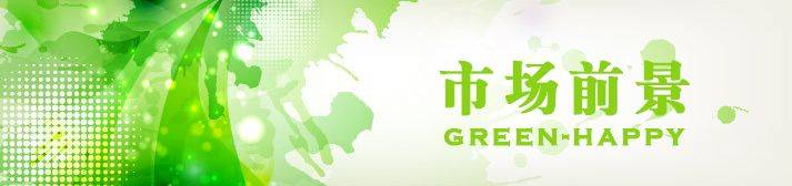 武漢除甲醛 湖北除甲醛 新車除異味 除甲醛最有效方法 除甲醛公司格瑞樂