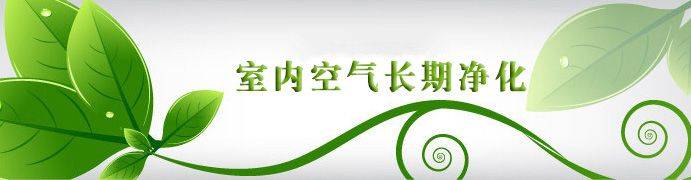 武漢除甲醛 湖北除甲醛 新車除異味 除甲醛最有效方法 除甲醛公司格瑞樂
