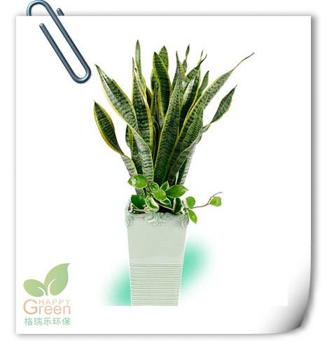 如何除甲醛 裝修除甲醛 武漢甲醛治理 武漢甲醛檢測(cè) 室內(nèi)PM2.5標(biāo)準(zhǔn)