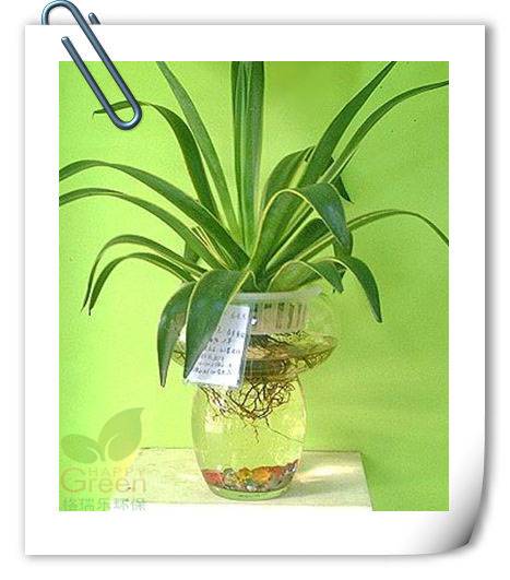 如何除甲醛 裝修除甲醛 武漢甲醛治理 武漢甲醛檢測(cè) 室內(nèi)PM2.5標(biāo)準(zhǔn)