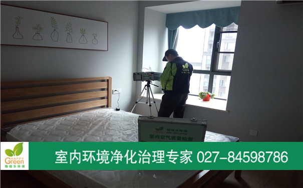 武漢甲醛檢測(cè) 武漢除甲醛 武漢室內(nèi)空氣治理
